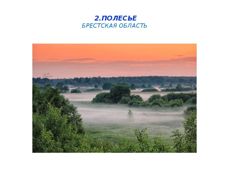 &nbsp; &nbsp;2.Полесье Брестская область