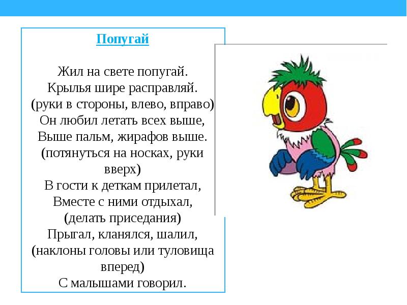 По дорожке справа слева. Физкультминутка попугай. Физминутка про попугая для детей. Жил на свете попугай физминутка. Физминутка с попугаем.