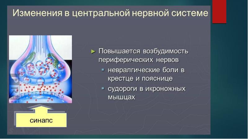 Физиологические изменения во время беременности презентация