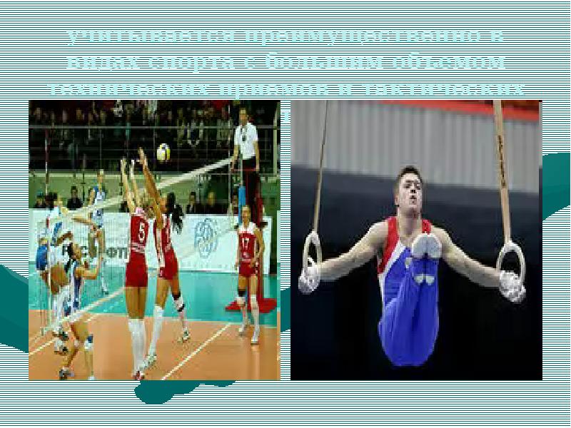 учитывается преимущественно в видах спорта с большим объемом технических приемов и учитывается преимущественно в видах спорта с большим объемом технических приемов и