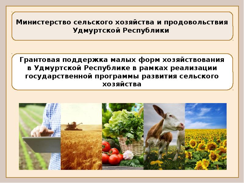 Цифровая карта удмуртской республики сельское хозяйство