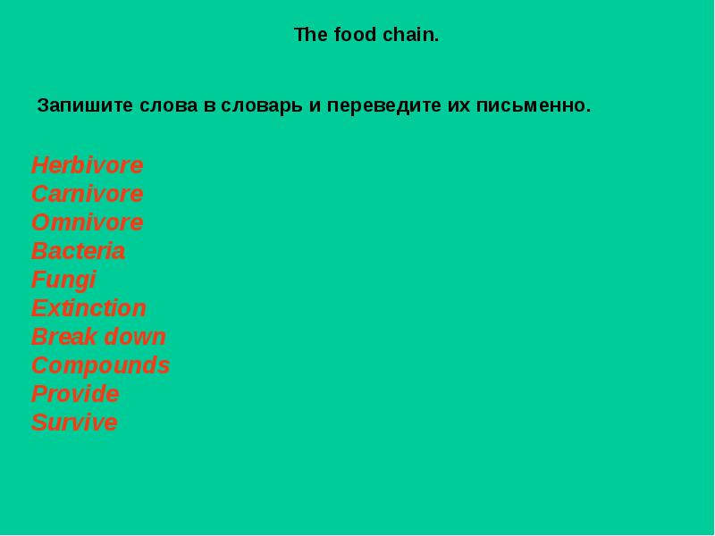 The food chain spotlight 7 презентация