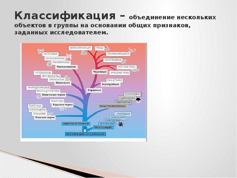 Объединение нескольких презентаций в одну