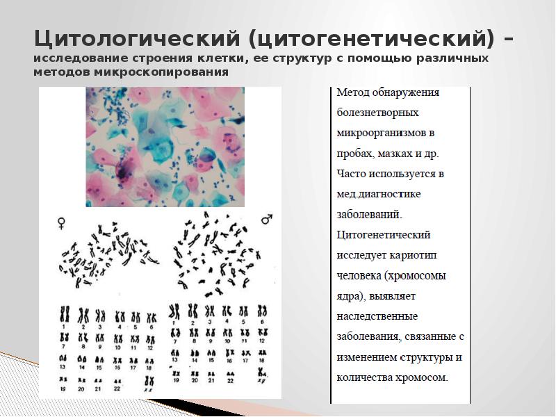 Цитологическая карта это