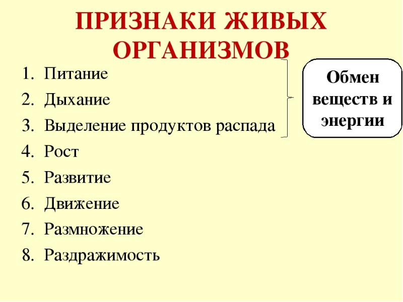 Признаки живых организмов картинки