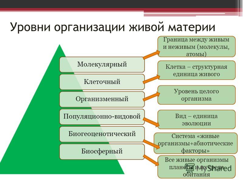 Виды проектов по биологии