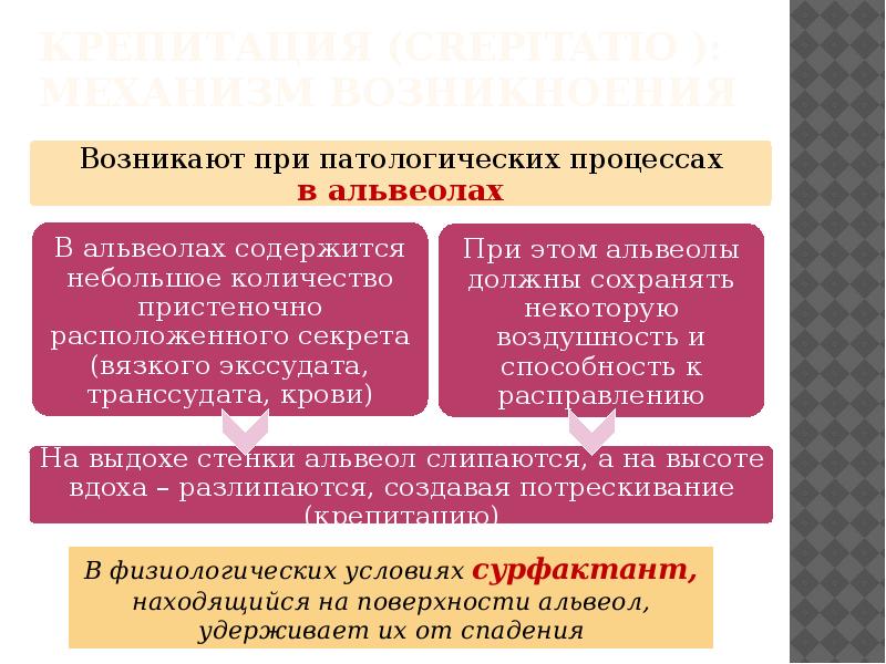 Аускультация легких презентация пропедевтика