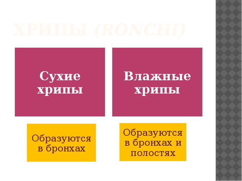 Аускультация легких презентация пропедевтика