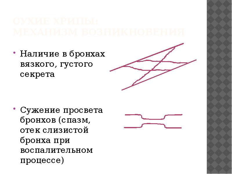 Аускультация легких презентация пропедевтика