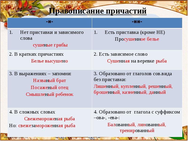 Орфография задание 5 огэ презентация