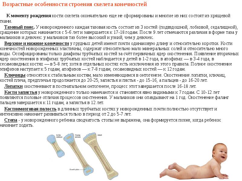 Особенности строения костей. Возрастные особенности тазового пояса. Возрастные особенности костей. Возрастные особенности костей таза. Возрастные особенности тазовой кости.