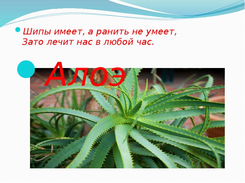 имеющий шипы