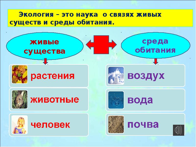 Что такое экология презентация 2 класс