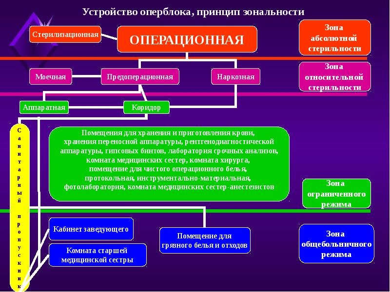 Операционный план организации