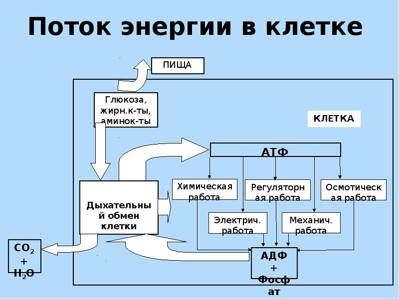 Класс обмен