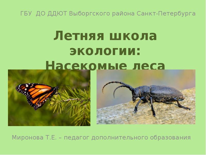 Экология насекомых. Кожанчиков и.в. методы исследования экологии насекомых..