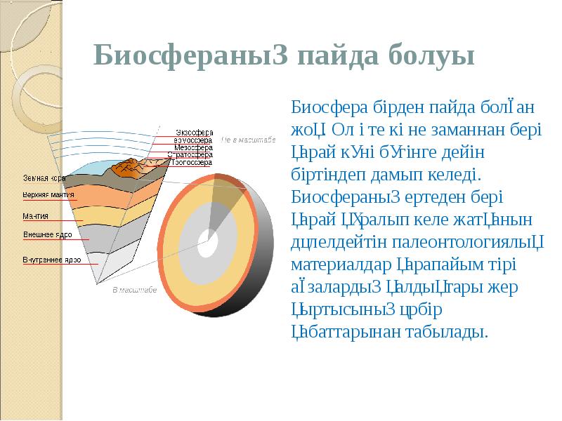 Биосфераның пайда болуы
Биосфера бірден пайда болған жоқ. Ол өте көне Биосфераның пайда болуы
Биосфера бірден пайда болған жоқ. Ол өте көне