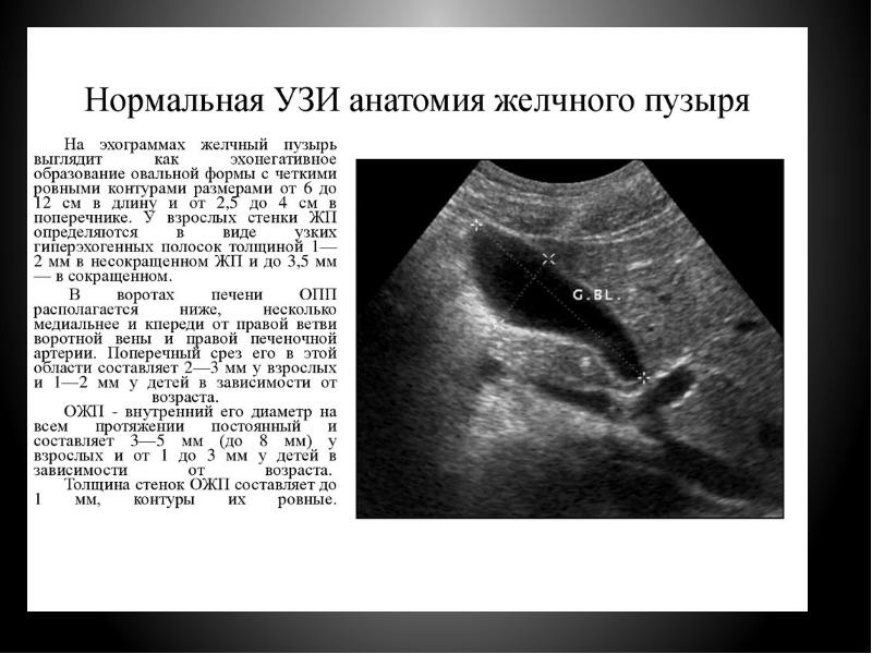 Направление на узи органов брюшной полости образец