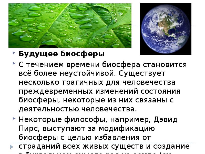 Информация о биосфере. Биосфера. Биосфера презентация. Экология,Биосфера,человек. Презентация на тему человек и Биосфера.