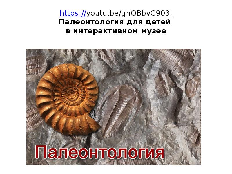 https://youtu.be/ghOBbvC903I Палеонтология для детей в интерактивном музее https://youtu.be/ghOBbvC903I Палеонтология для детей в интерактивном музее