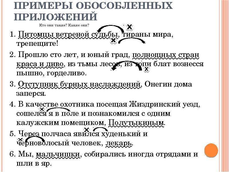 Предложение 1 простое осложненное обособленным приложением