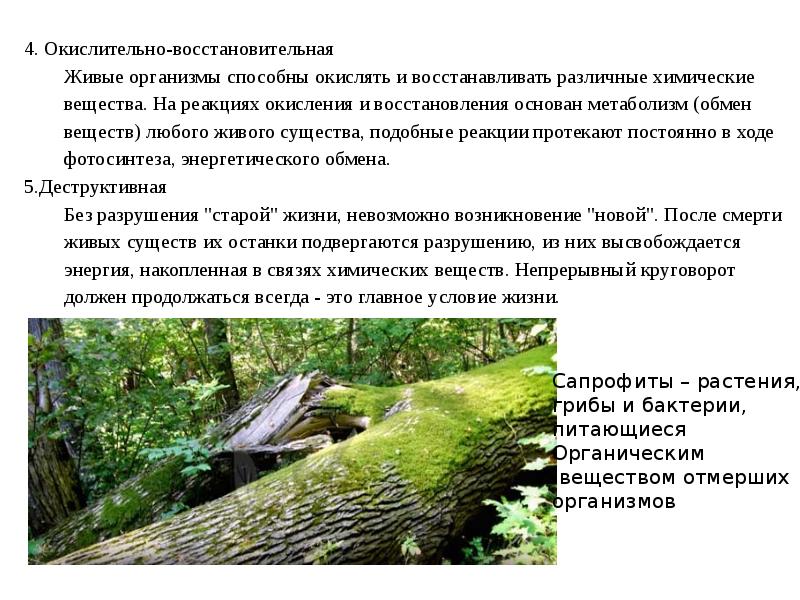 Какова роль живого вещества в природе. Роль живого вещества в биосфере. Роль живого вещества в биосфере слайд. Функции живого вещества в биосфере. Деструктивная роль живого вещества.