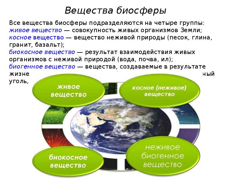 Учение о биосфере презентация 10 класс презентация