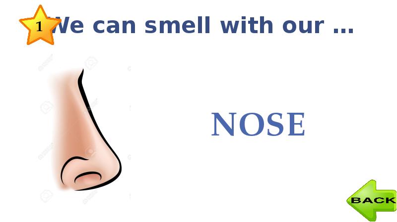 I smell with with my. Smell flashcard. карточки can. we smell with our nose стихотворение. i can not smell b nose.