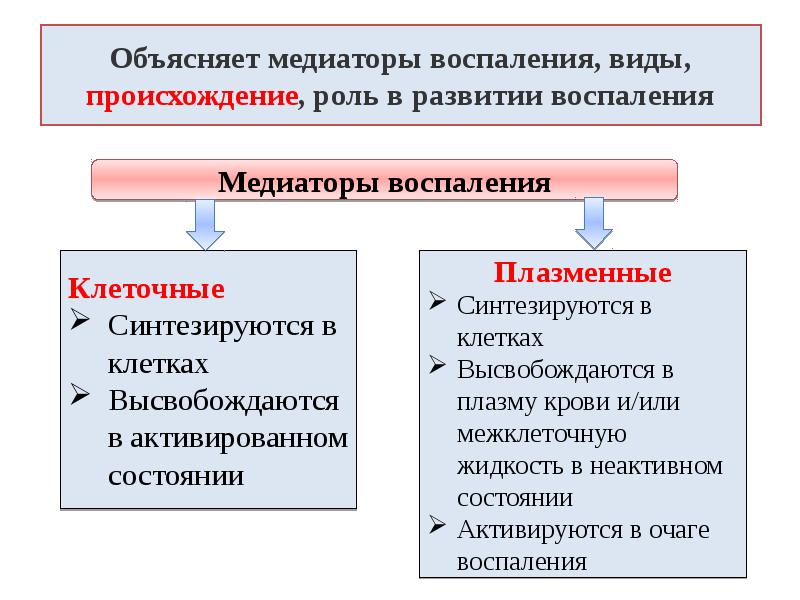 Схема воспаления медиаторы воспаления