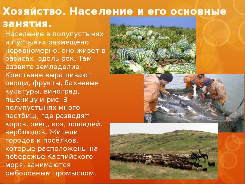 Как человек ведет хозяйство в пустыне план. Занятия населения пустынь. Хозяйство население и его основные занятия. Занятия людей пустыни. Население и хозяйство пустыни и полупустыни.