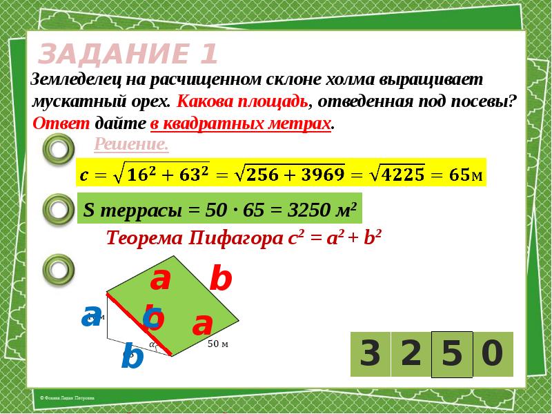 Каков ответ 3 3. Земледелец на расчищенном склоне холма. Землевладелец на расчищенном склоне холма выращивает мускатный орех. Площадь наклонного участка. Какова площадь отведенная под посевы.