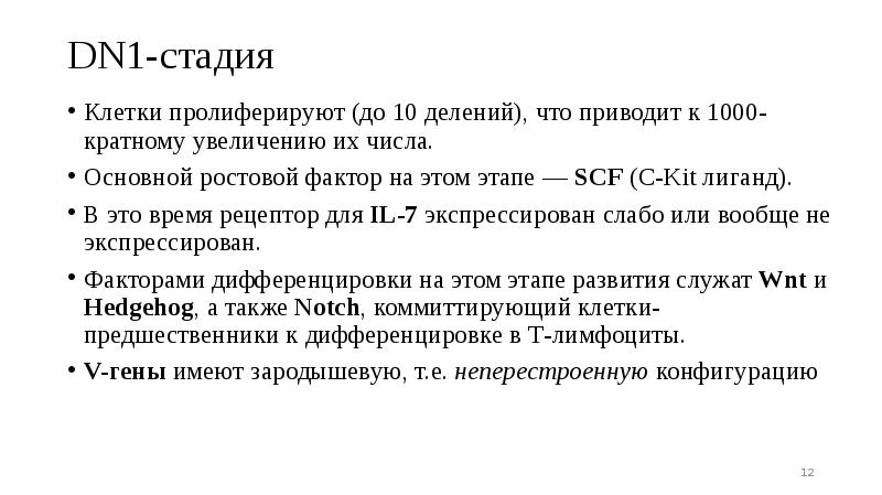 DN1-стадия
Клетки пролиферируют (до 10 делений), что приводит к 1000-кратному увеличению DN1-стадия
Клетки пролиферируют (до 10 делений), что приводит к 1000-кратному увеличению