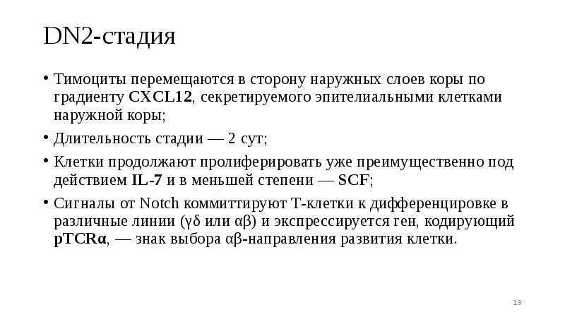 DN2-стадия
Тимоциты перемещаются в сторону наружных слоев коры по градиенту CXCL12, DN2-стадия
Тимоциты перемещаются в сторону наружных слоев коры по градиенту CXCL12,