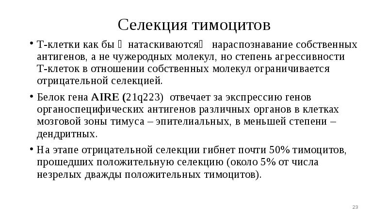 Селекция тимоцитов
Т-клетки как бы ≪натаскиваются≫ нараспознавание собственных антигенов, а не Селекция тимоцитов
Т-клетки как бы ≪натаскиваются≫ нараспознавание собственных антигенов, а не