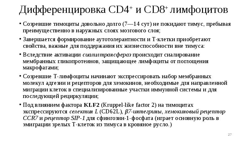 Дифференцировка CD4+ и CD8+ лимфоцитов
Созревшие тимоциты довольно долго (7—14 сут) Дифференцировка CD4+ и CD8+ лимфоцитов
Созревшие тимоциты довольно долго (7—14 сут)
