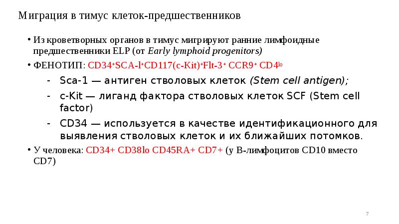 Миграция в тимус клеток-предшественников
Из кроветворных органов в тимус мигрируют ранние Миграция в тимус клеток-предшественников
Из кроветворных органов в тимус мигрируют ранние