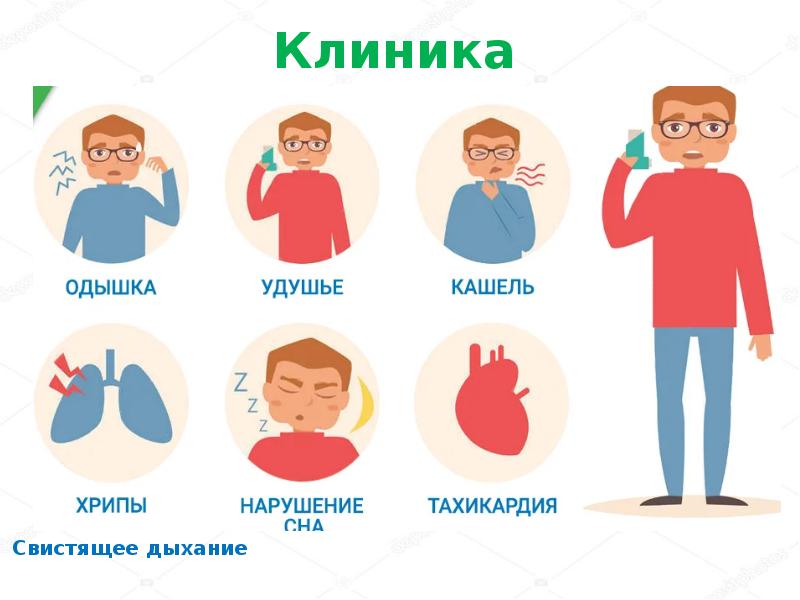 Бронхиальный кашель. Предвестники приступа бронхиальной астмы. Первые симптомы бронхиальной астмы. Симптомы астмы на ранней.