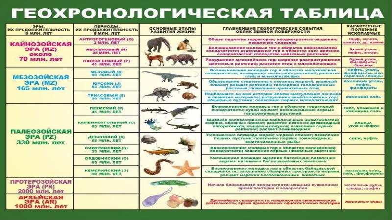 Основные этапы эволюции органического мира на земле презентация 11 класс