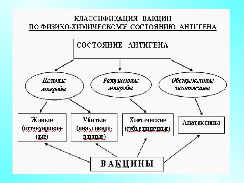 Классификация вакцин презентация