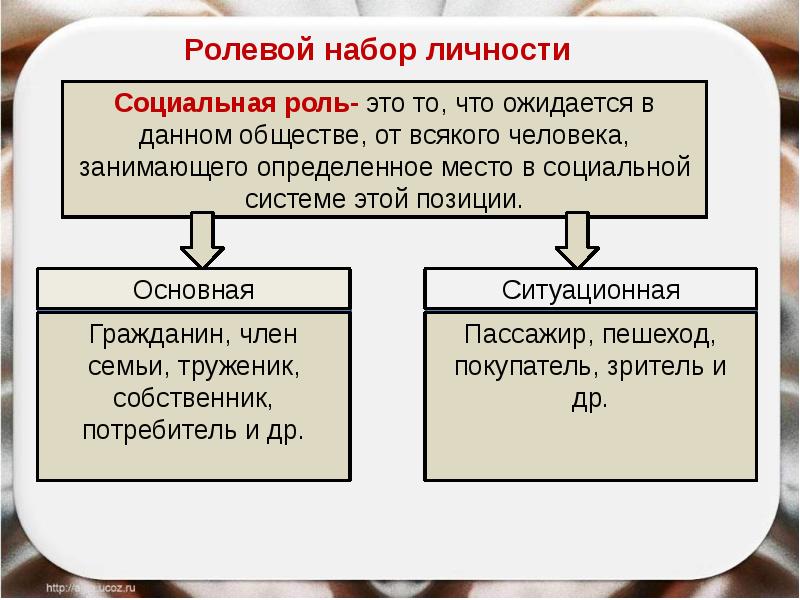 План социальный статус и социальная роль обществознание егэ