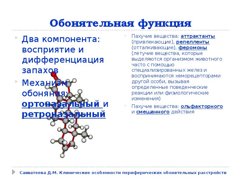 Проект биологический механизм запахов