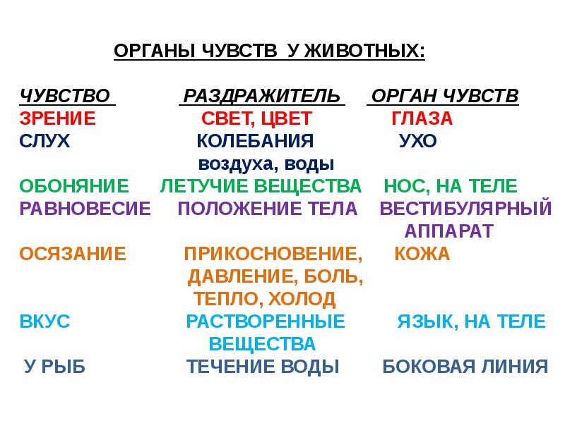 Биология 7 класс органы чувств регуляция деятельности организма презентация