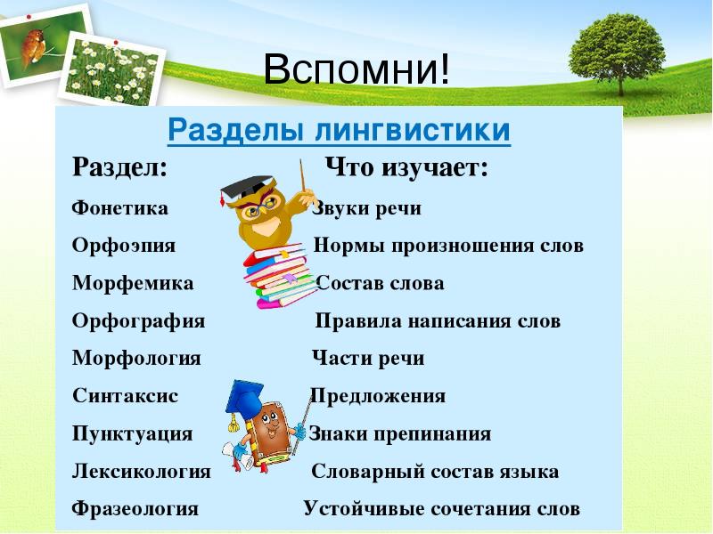 Сложный план наука о языке