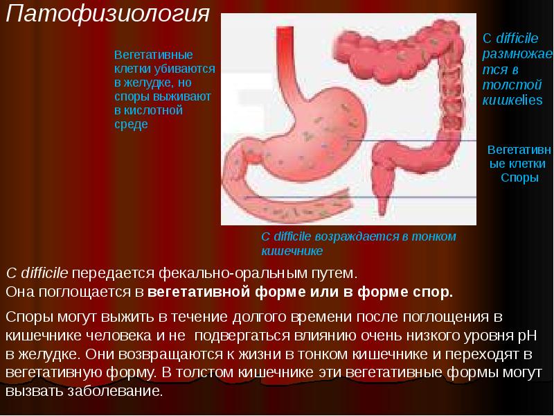 Презентация диарея у детей