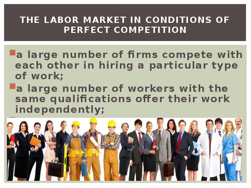The labor market in conditions of perfect competition a large number