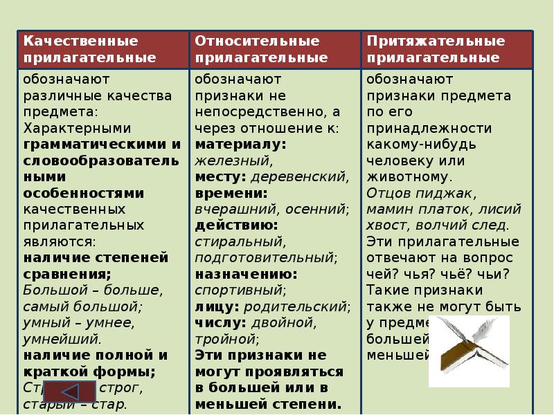 Относительные свойства. Прилагательные качественные относительные притяжательные таблица. Качественные и относительные прилагательные 6 класс. Качественные и относительные прилагательные 3 класс. Разряды прилагательных притяжательные.