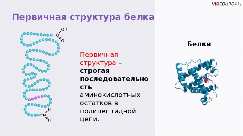 Белки презентация 10 класс химия. Белки презентация. Белки презентация по химии. Структура белка реферат. Белки доклад по химии.