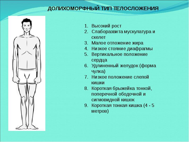 Типы телосложения презентация