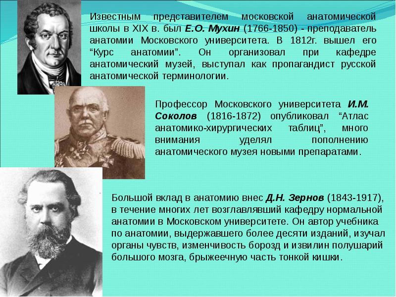 Пирогов и его роль в развитии топографической анатомии