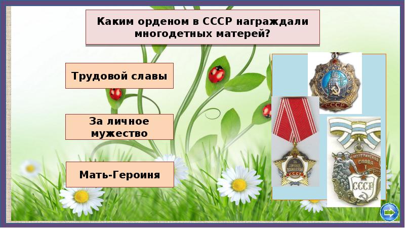 Орден в моей семье проект